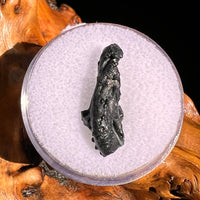 Irgizite Tektite #130-Moldavite Life