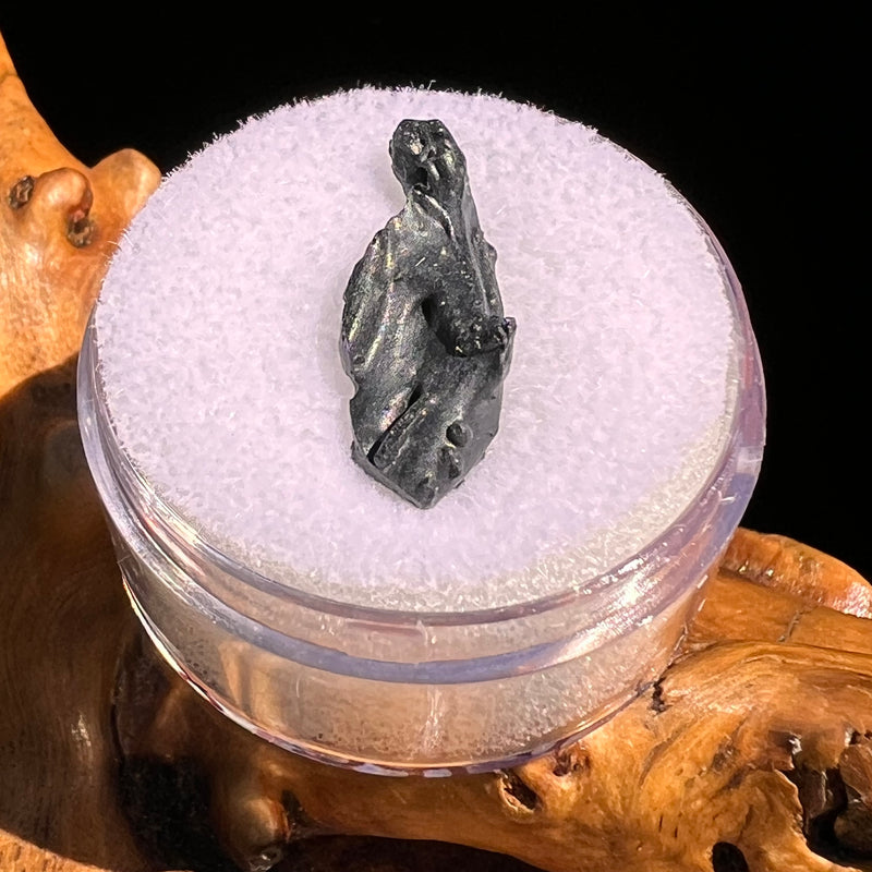Irgizite Tektite #130-Moldavite Life