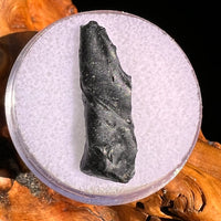 Irgizite Tektite #131-Moldavite Life