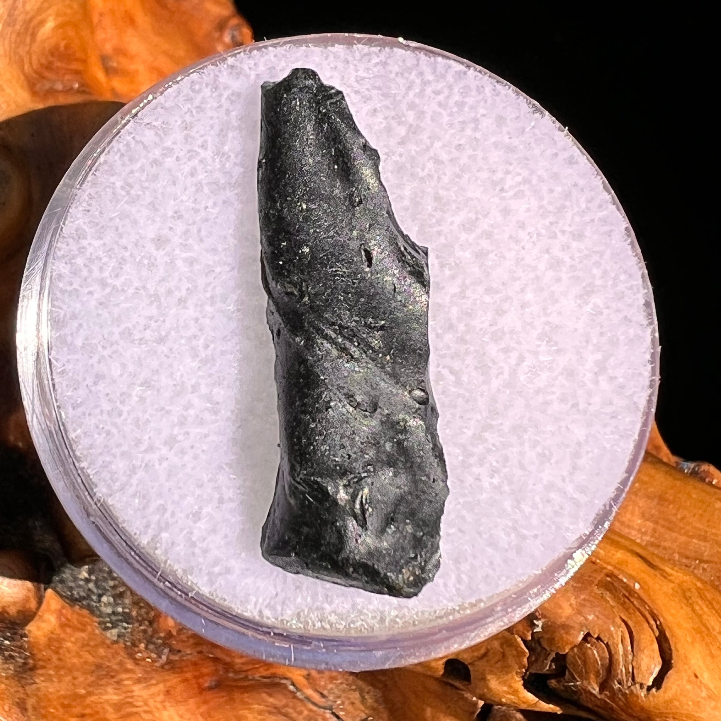 Irgizite Tektite #131-Moldavite Life