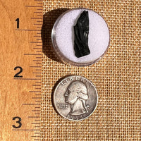Irgizite Tektite #131-Moldavite Life