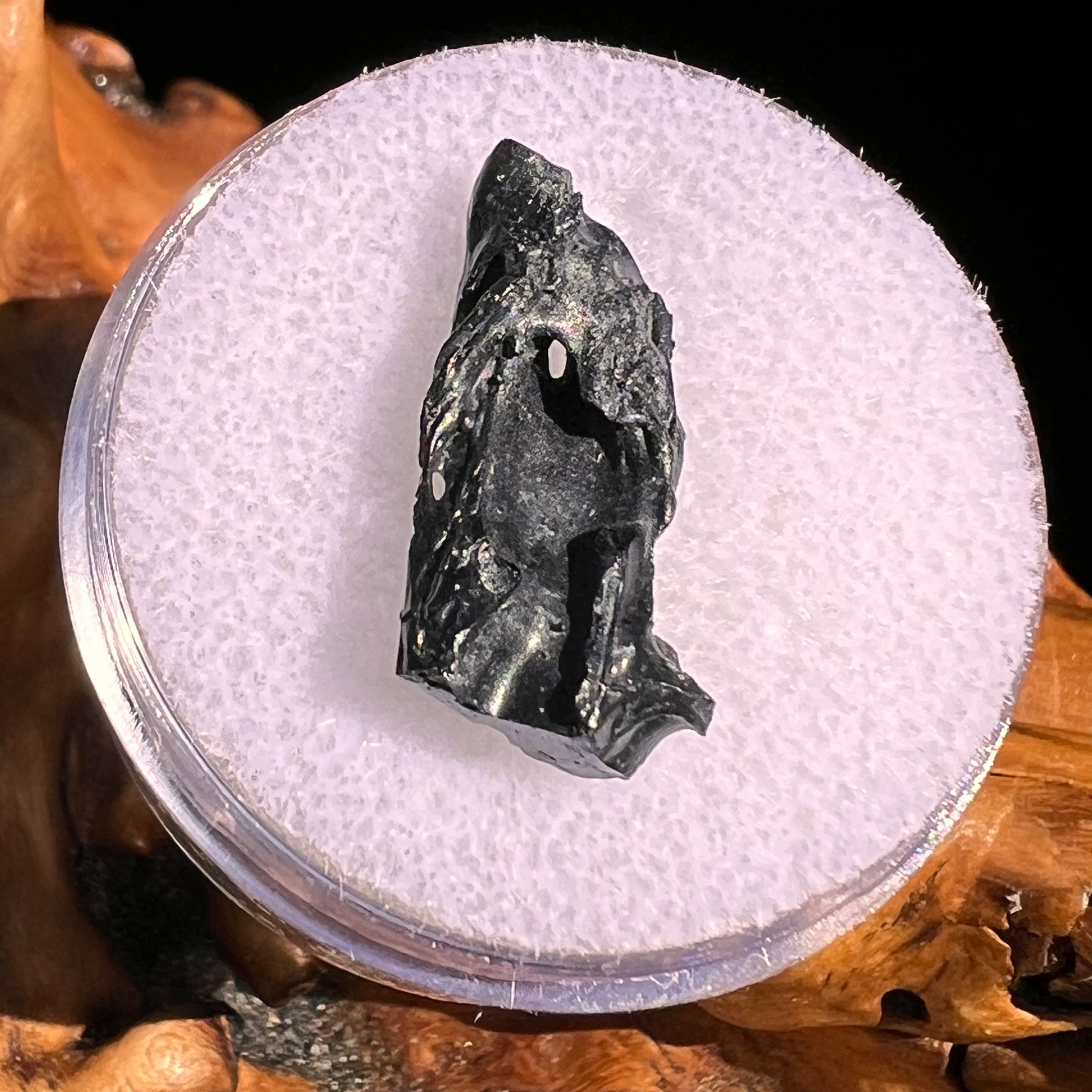 Irgizite Tektite #132-Moldavite Life