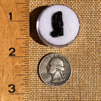 Irgizite Tektite #132-Moldavite Life