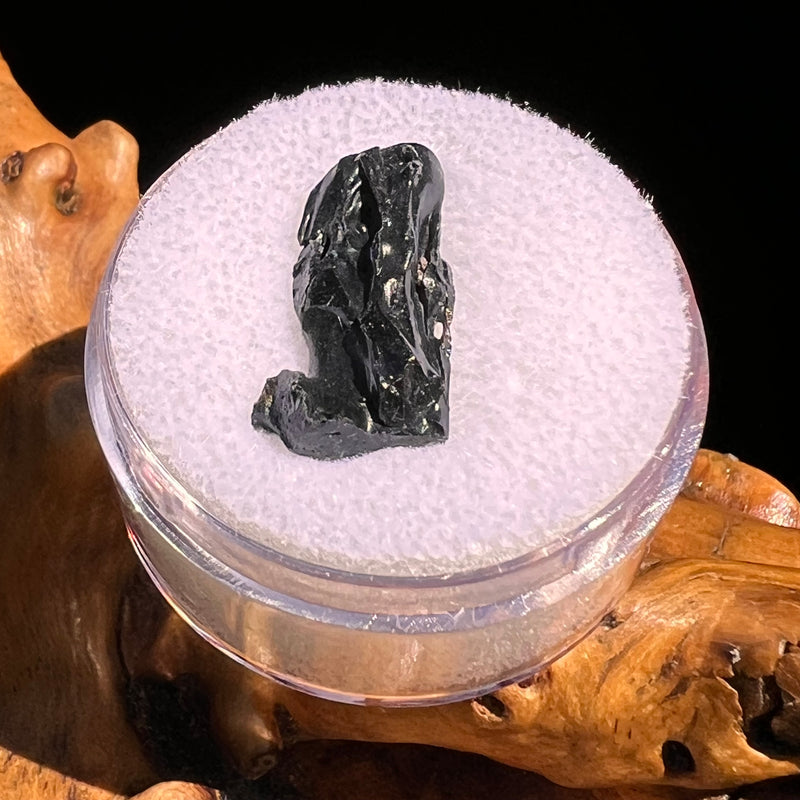 Irgizite Tektite #132-Moldavite Life