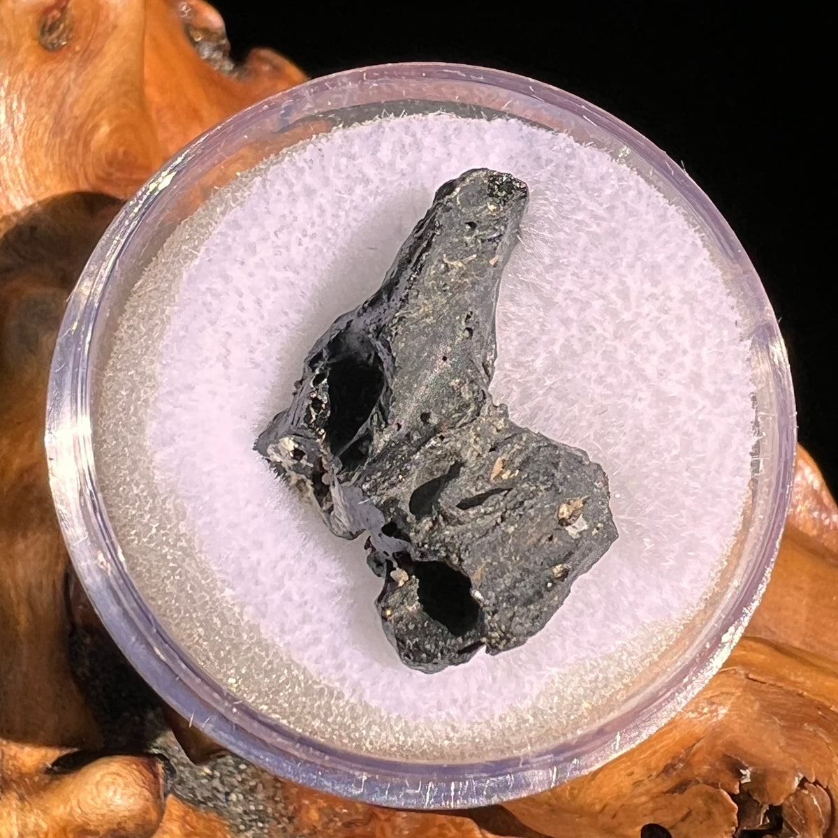 Irgizite Tektite #133-Moldavite Life