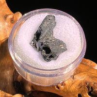 Irgizite Tektite #133-Moldavite Life