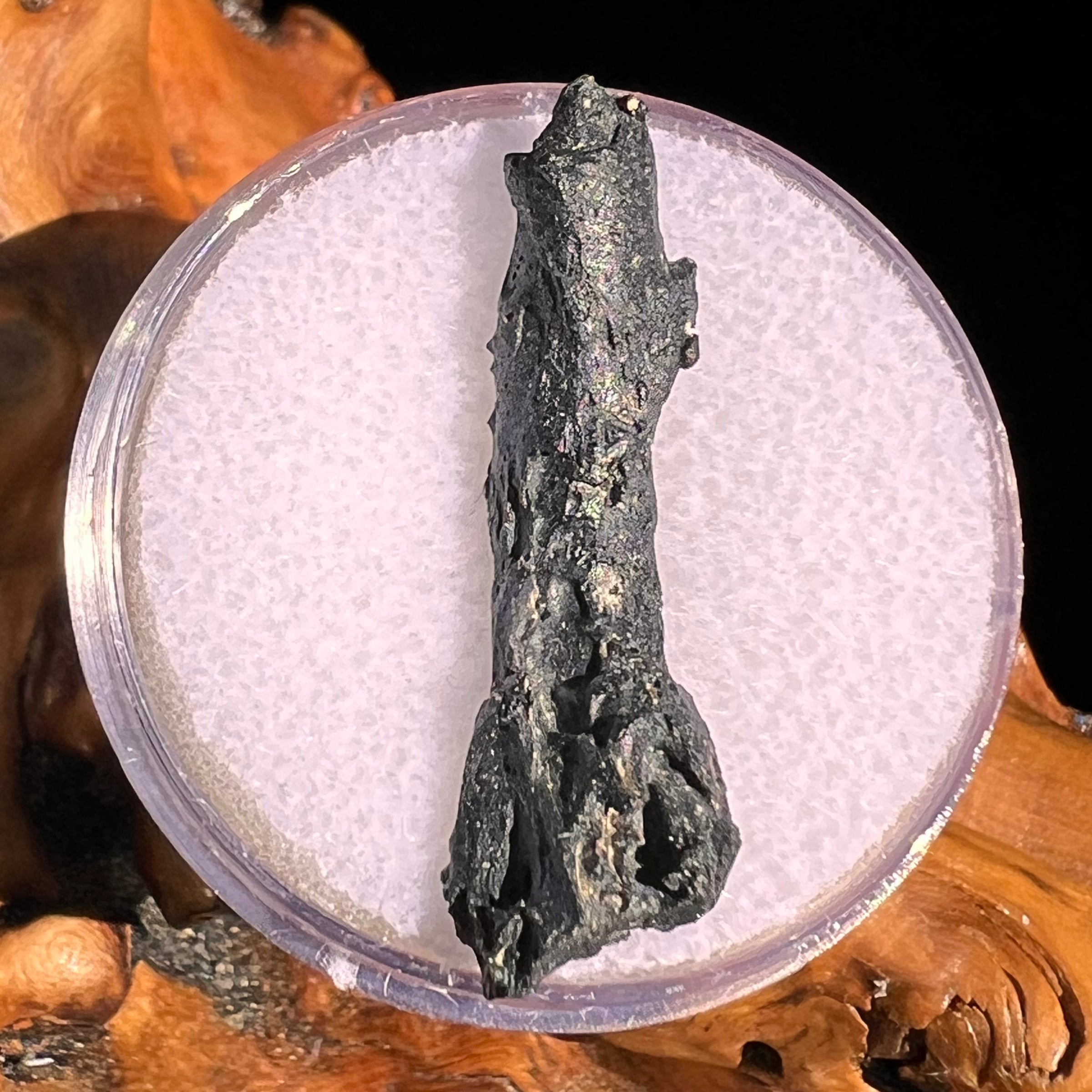 Irgizite Tektite #134-Moldavite Life