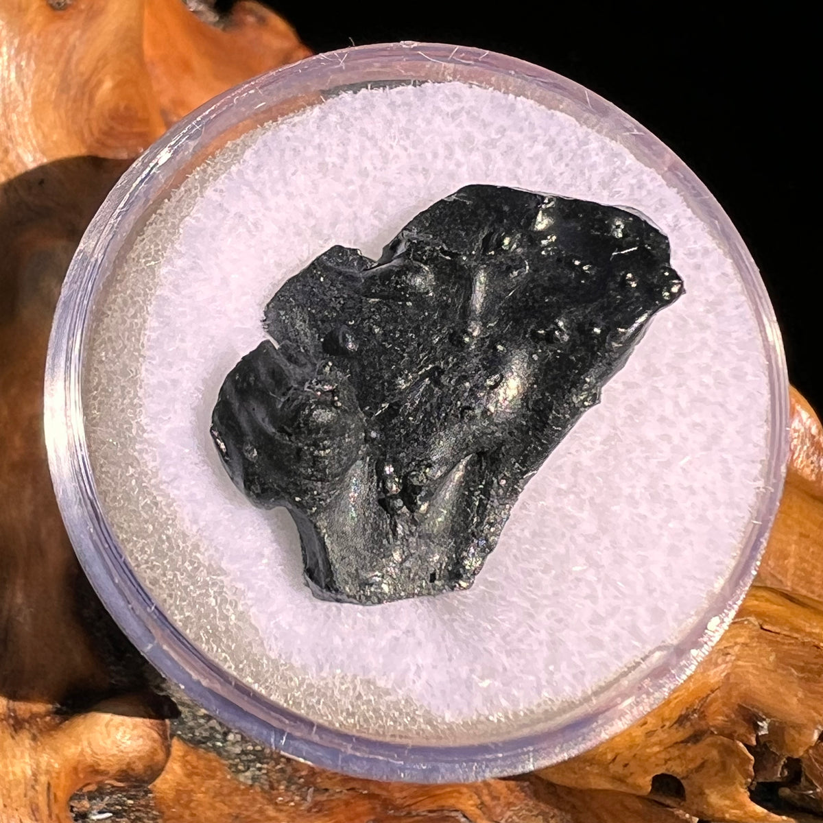 Irgizite Tektite #135-Moldavite Life