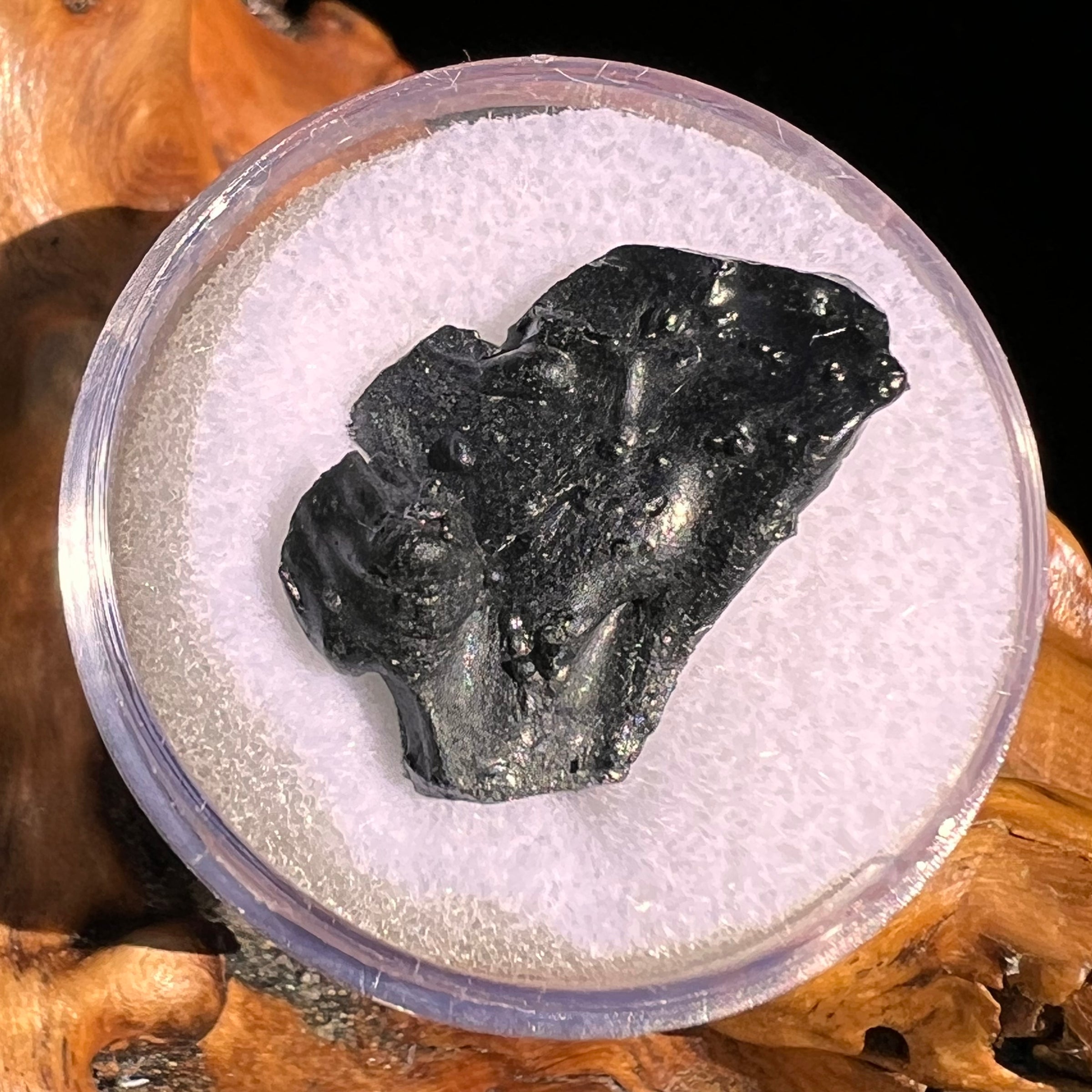 Irgizite Tektite #135-Moldavite Life