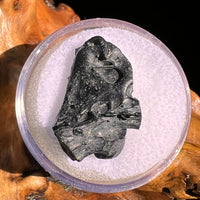 Irgizite Tektite #135-Moldavite Life
