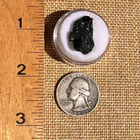 Irgizite Tektite #135-Moldavite Life
