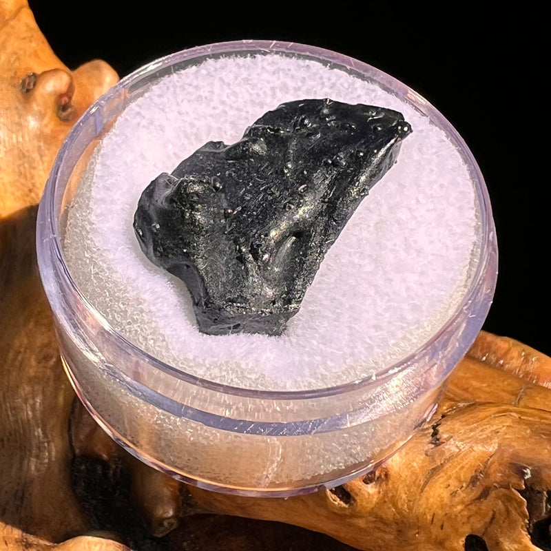 Irgizite Tektite #135-Moldavite Life