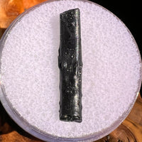Irgizite Tektite #88-Moldavite Life