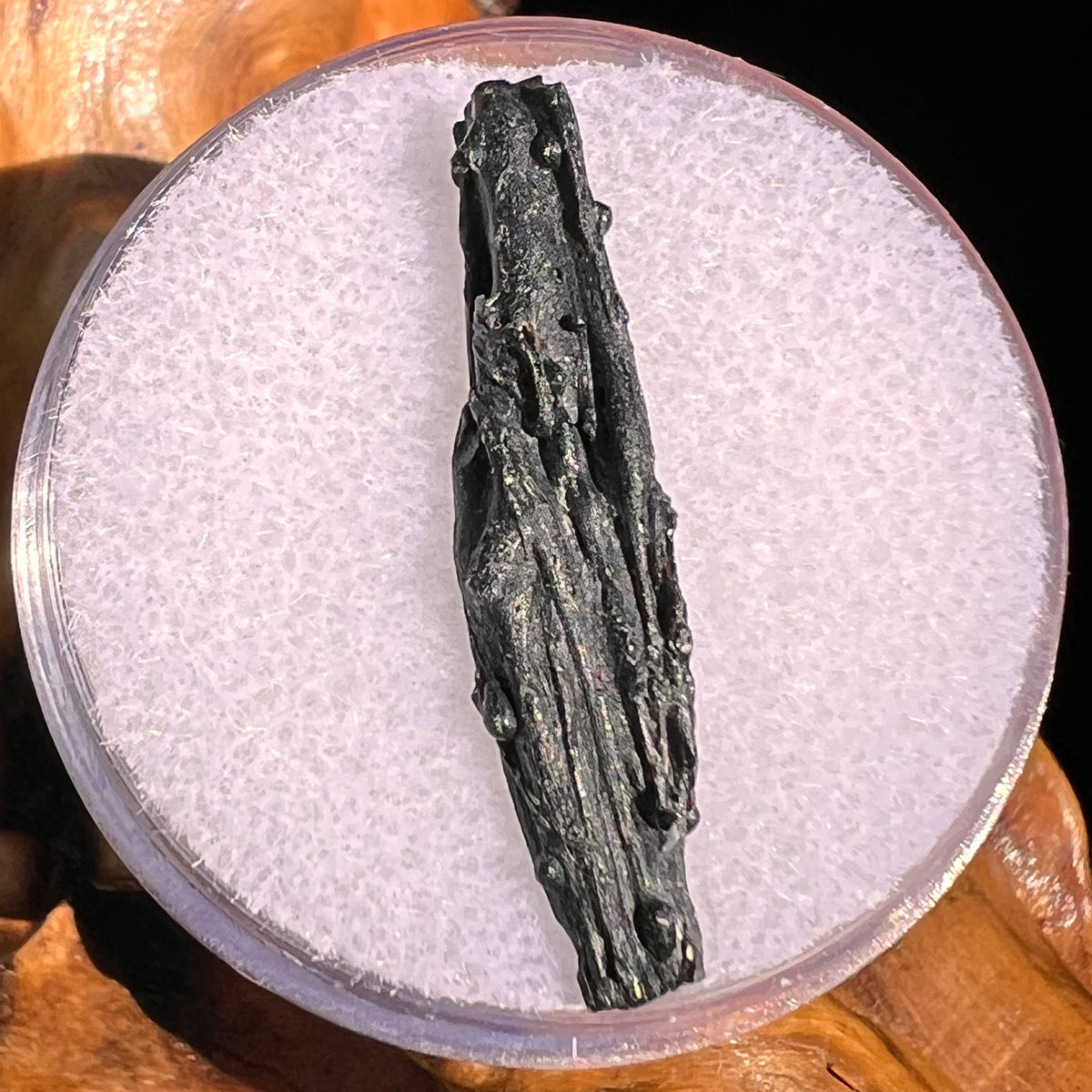 Irgizite Tektite #89-Moldavite Life