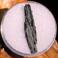 Irgizite Tektite #89-Moldavite Life