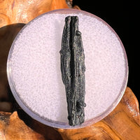 Irgizite Tektite #89-Moldavite Life