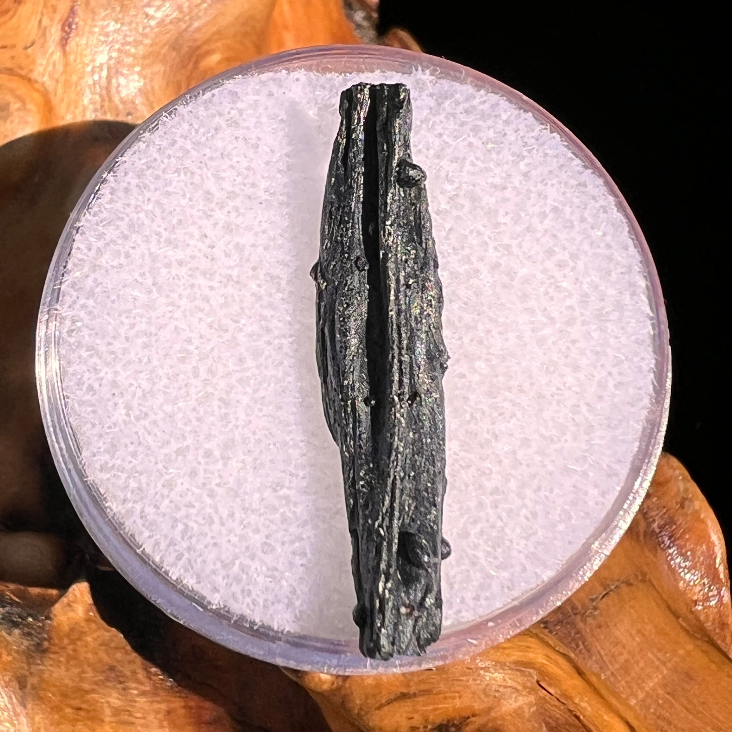 Irgizite Tektite #89-Moldavite Life