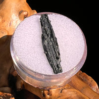 Irgizite Tektite #89-Moldavite Life
