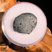 Irgizite Tektite #90-Moldavite Life