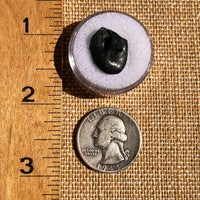 Irgizite Tektite #90-Moldavite Life