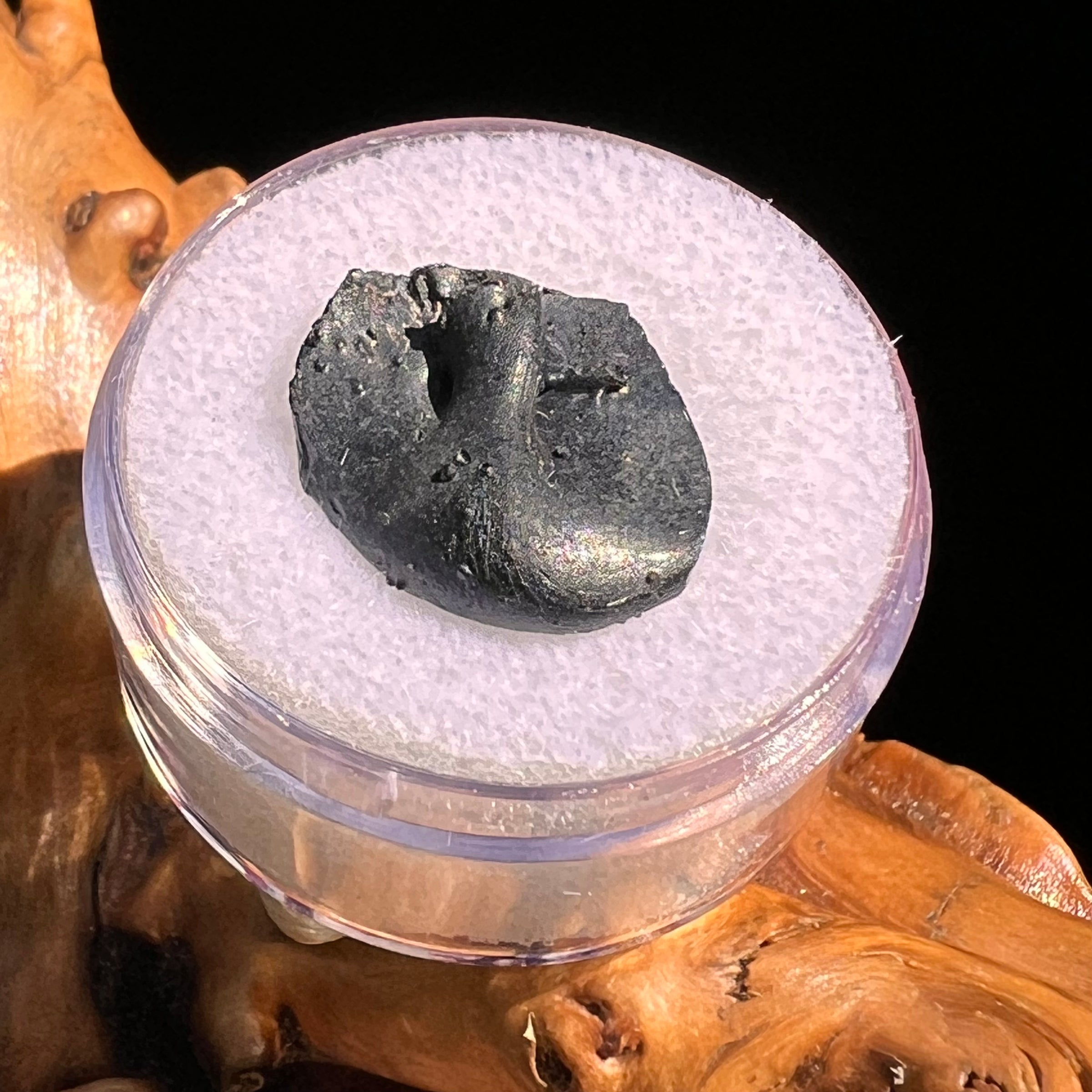 Irgizite Tektite #90-Moldavite Life