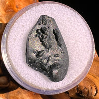 Irgizite Tektite #91-Moldavite Life
