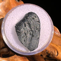 Irgizite Tektite #91-Moldavite Life