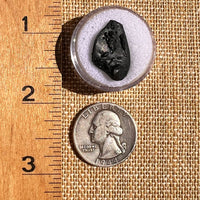 Irgizite Tektite #91-Moldavite Life
