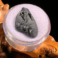 Irgizite Tektite #91-Moldavite Life