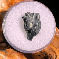Irgizite Tektite #92-Moldavite Life