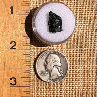 Irgizite Tektite #92-Moldavite Life