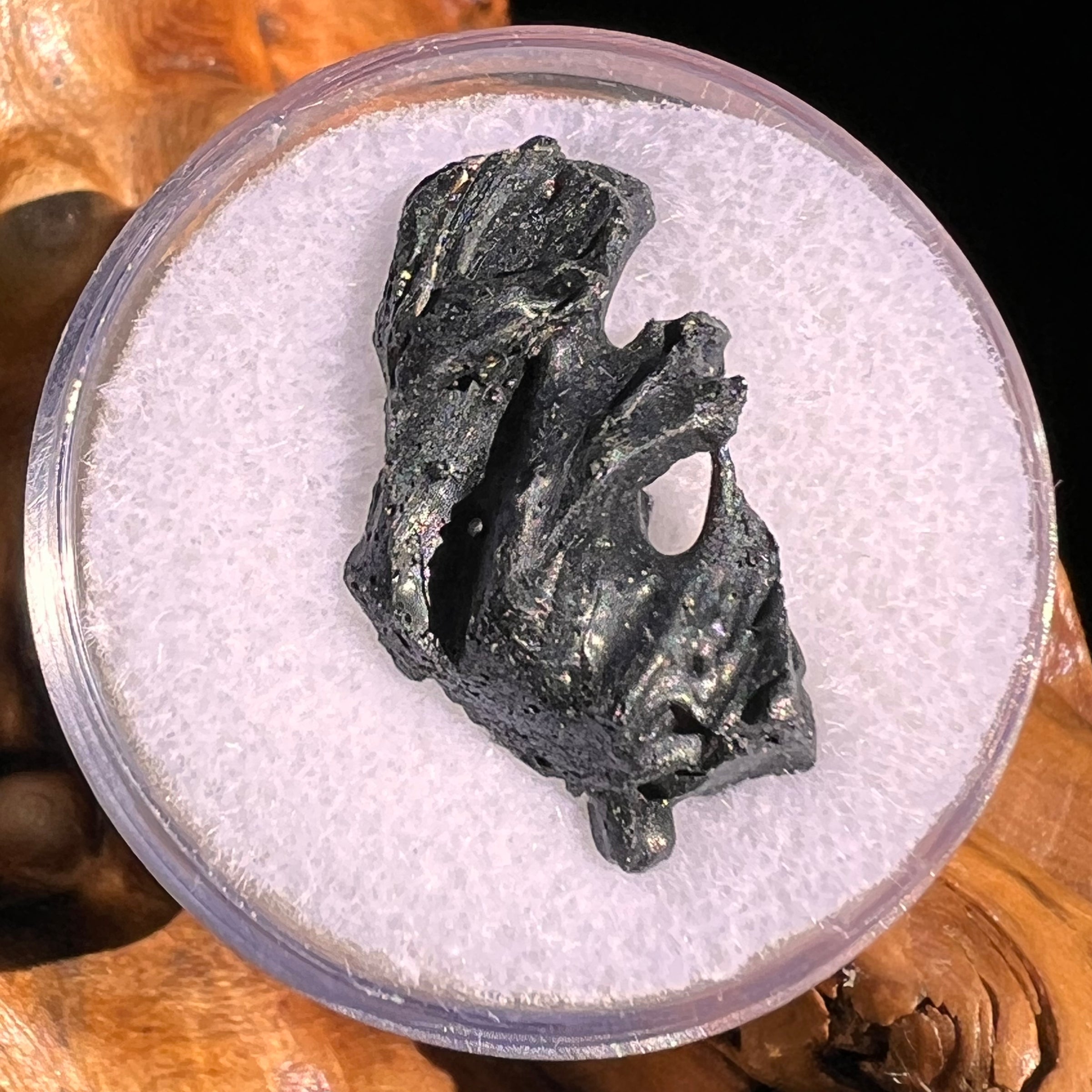 Irgizite Tektite #93-Moldavite Life