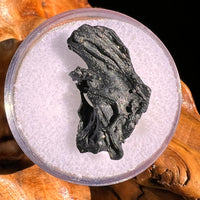 Irgizite Tektite #93-Moldavite Life