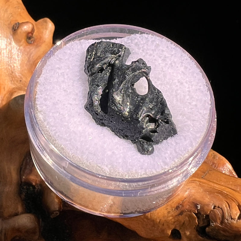 Irgizite Tektite #93-Moldavite Life