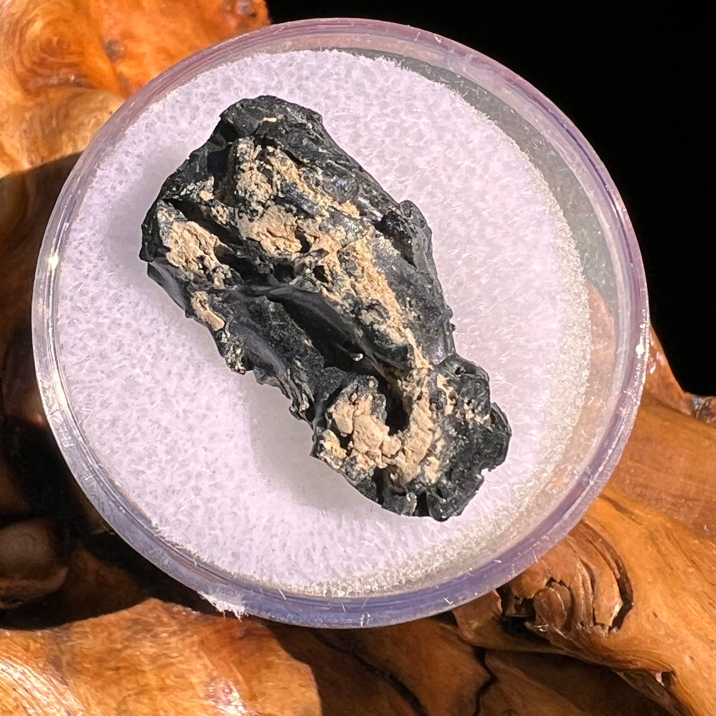 Irgizite Tektite #94-Moldavite Life