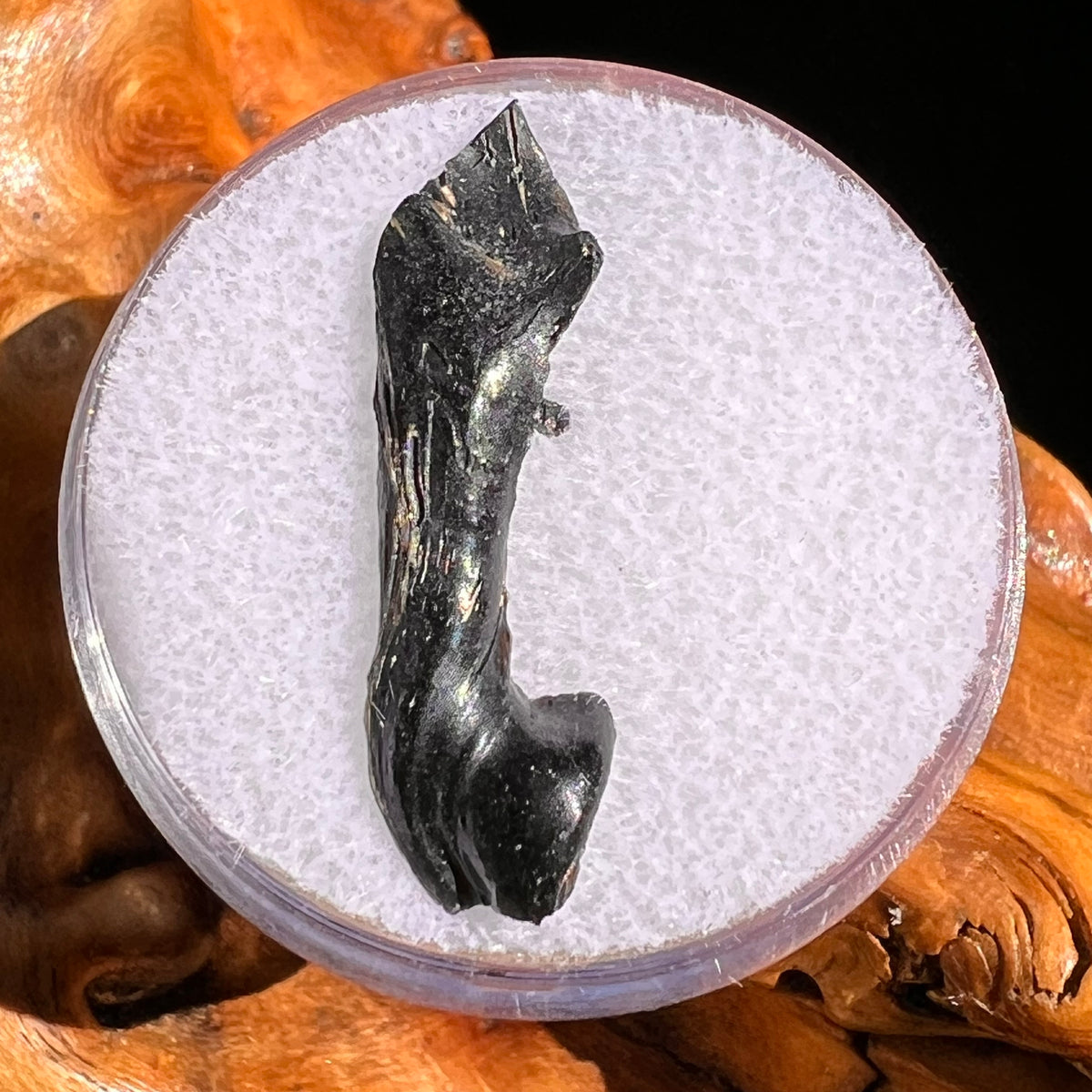 Irgizite Tektite #95-Moldavite Life