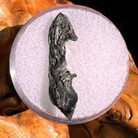 Irgizite Tektite #95-Moldavite Life