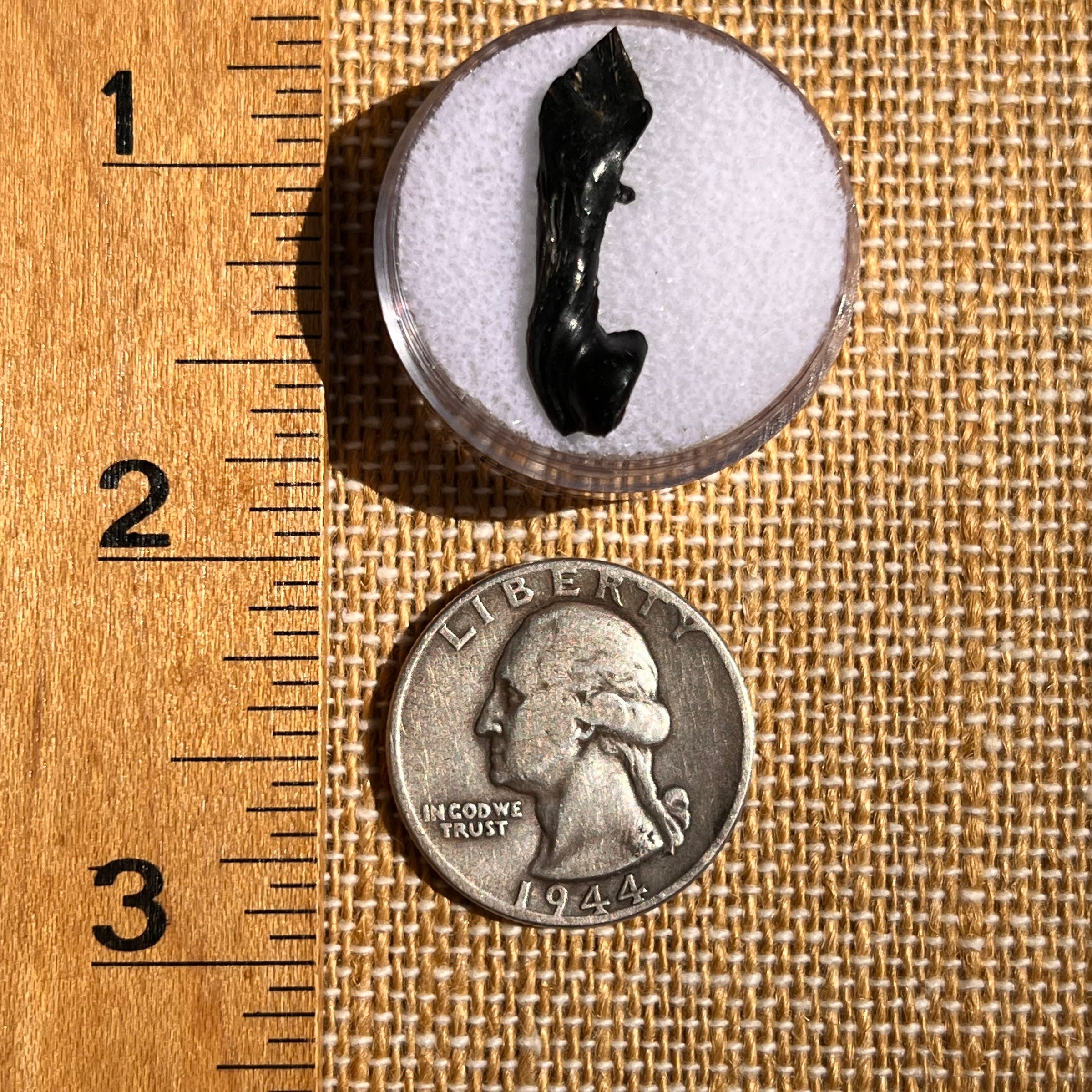 Irgizite Tektite #95-Moldavite Life