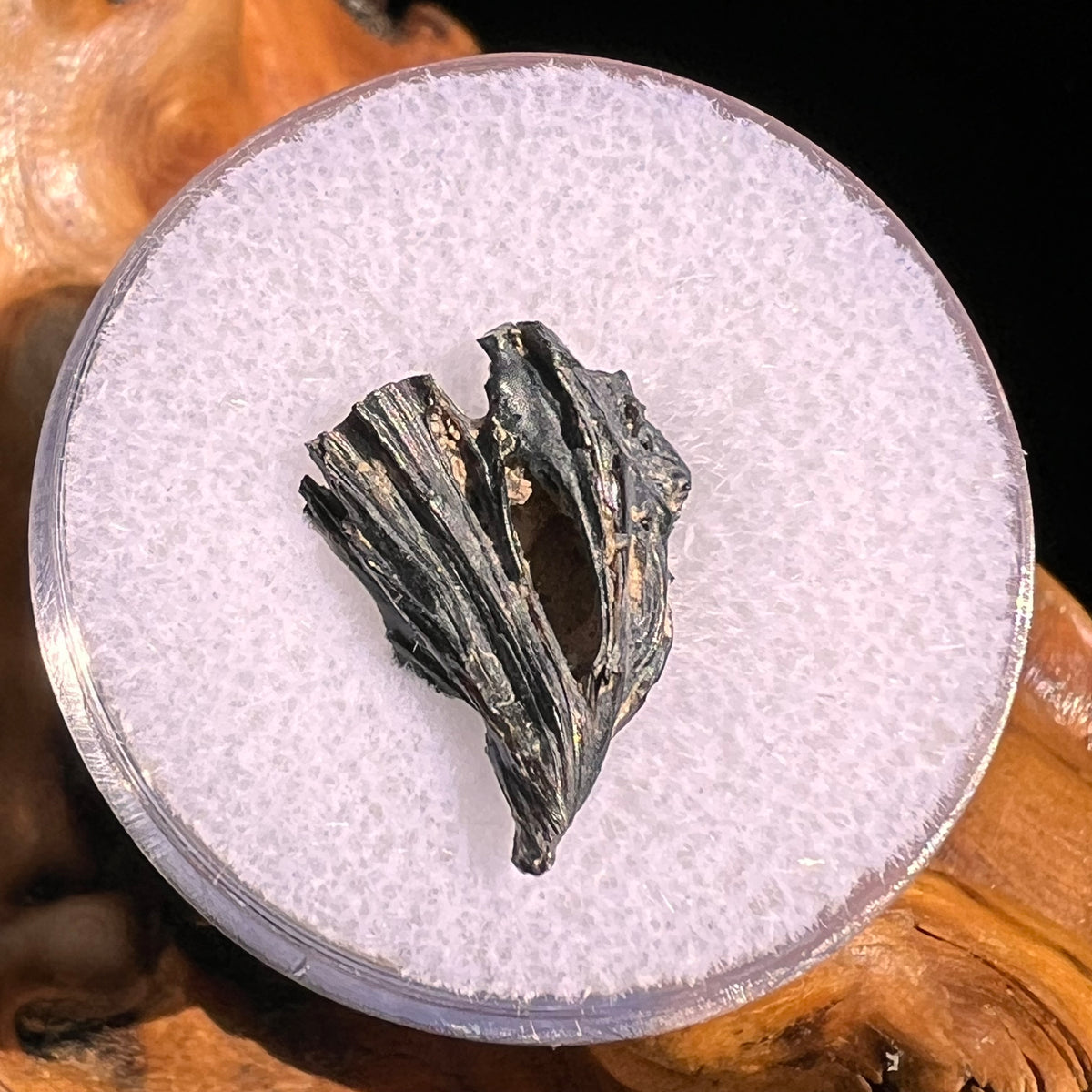 Irgizite Tektite #96-Moldavite Life
