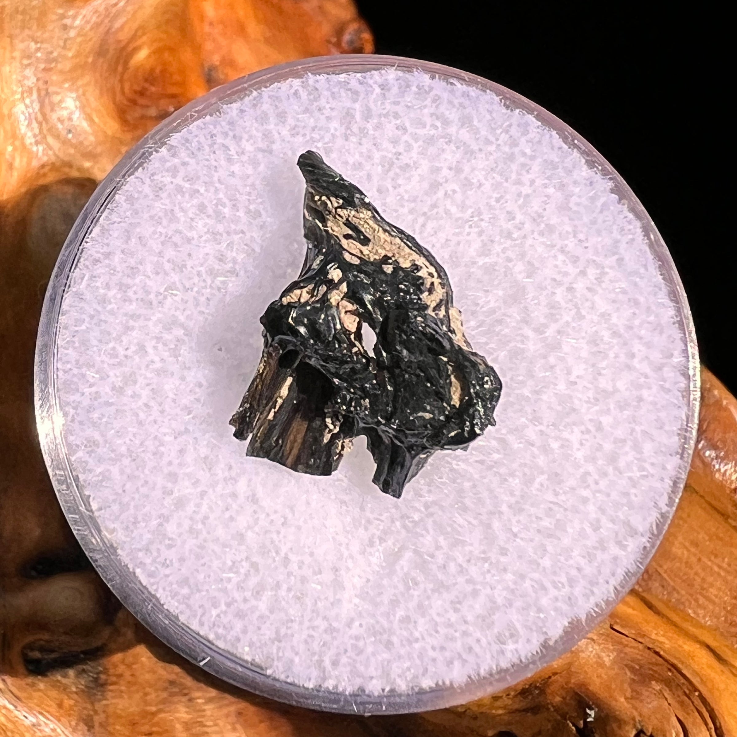Irgizite Tektite #96-Moldavite Life