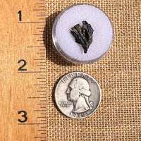 Irgizite Tektite #96-Moldavite Life