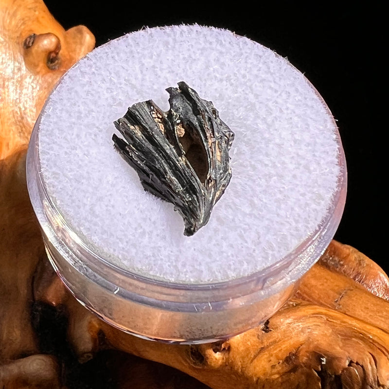 Irgizite Tektite #96-Moldavite Life