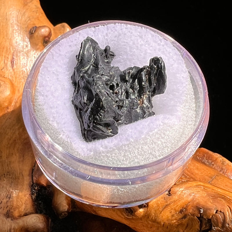 Irgizite Tektite #97-Moldavite Life