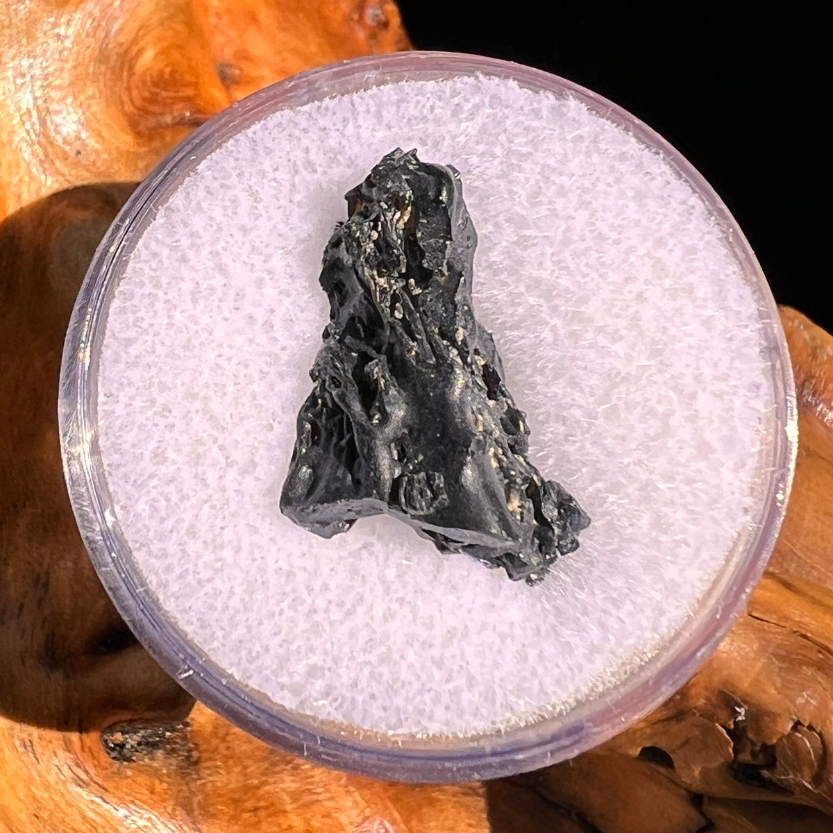 Irgizite Tektite #98-Moldavite Life