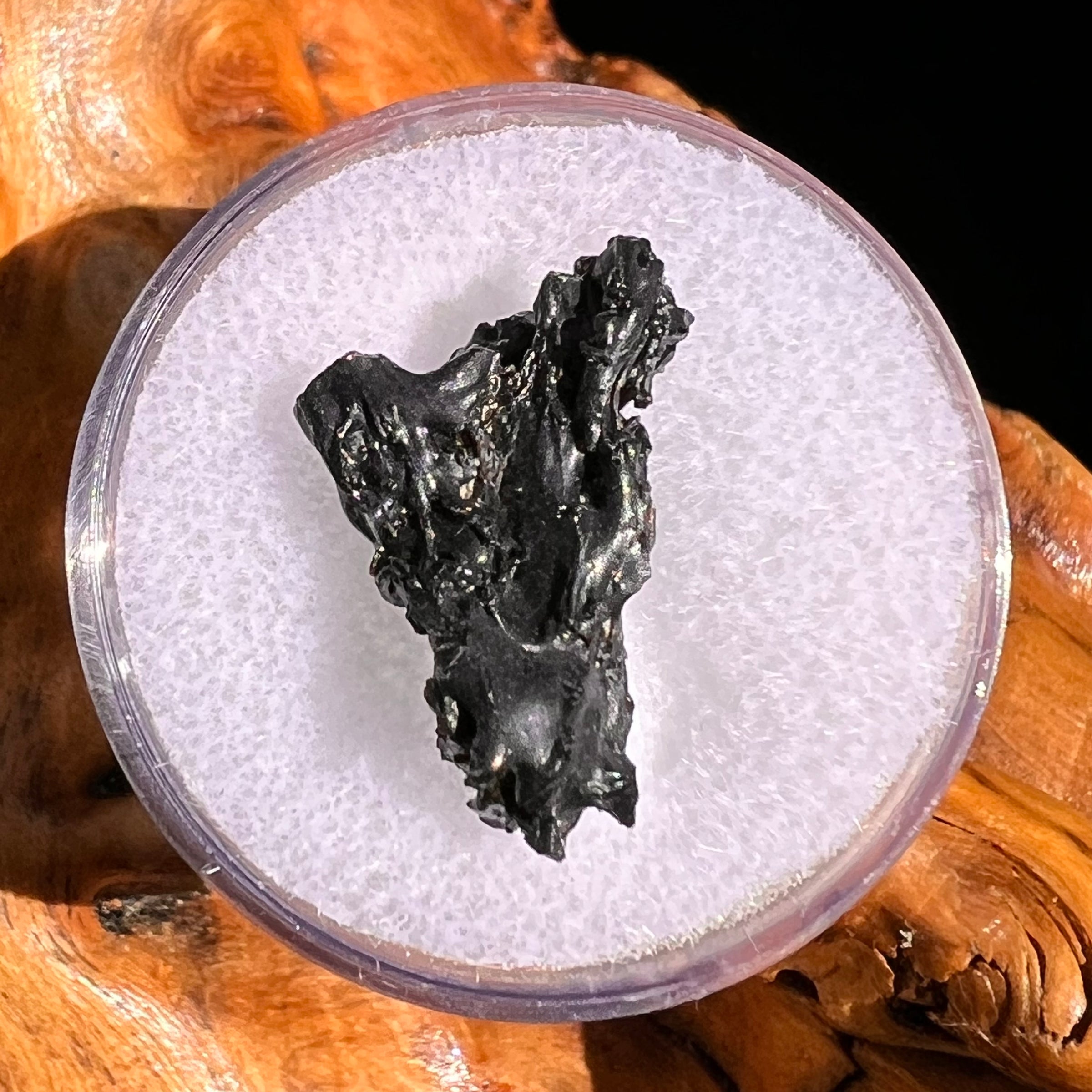 Irgizite Tektite #98-Moldavite Life