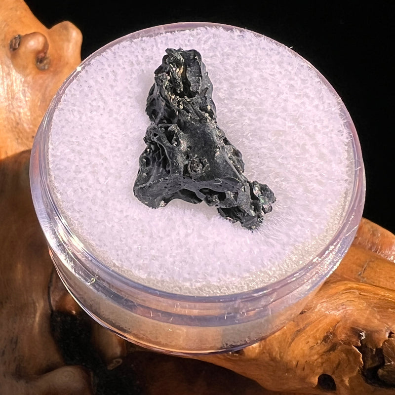 Irgizite Tektite #98-Moldavite Life