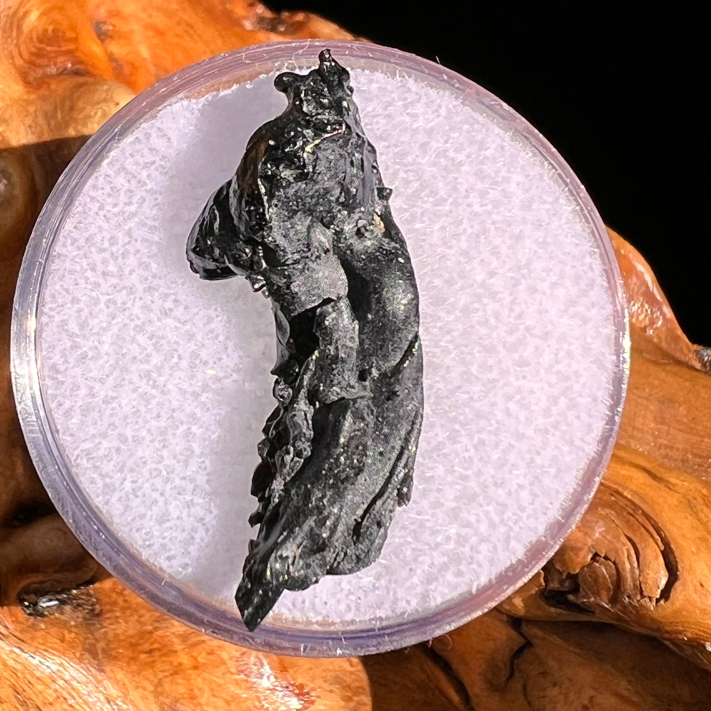 Irgizite Tektite #99-Moldavite Life