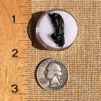 Irgizite Tektite #99-Moldavite Life