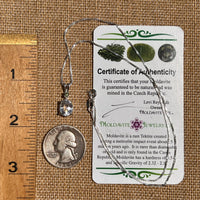 Kunzite & Moldavite Necklace Sterling Silver #6741-Moldavite Life