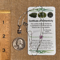 Kunzite & Moldavite Necklace Sterling Silver #6742-Moldavite Life